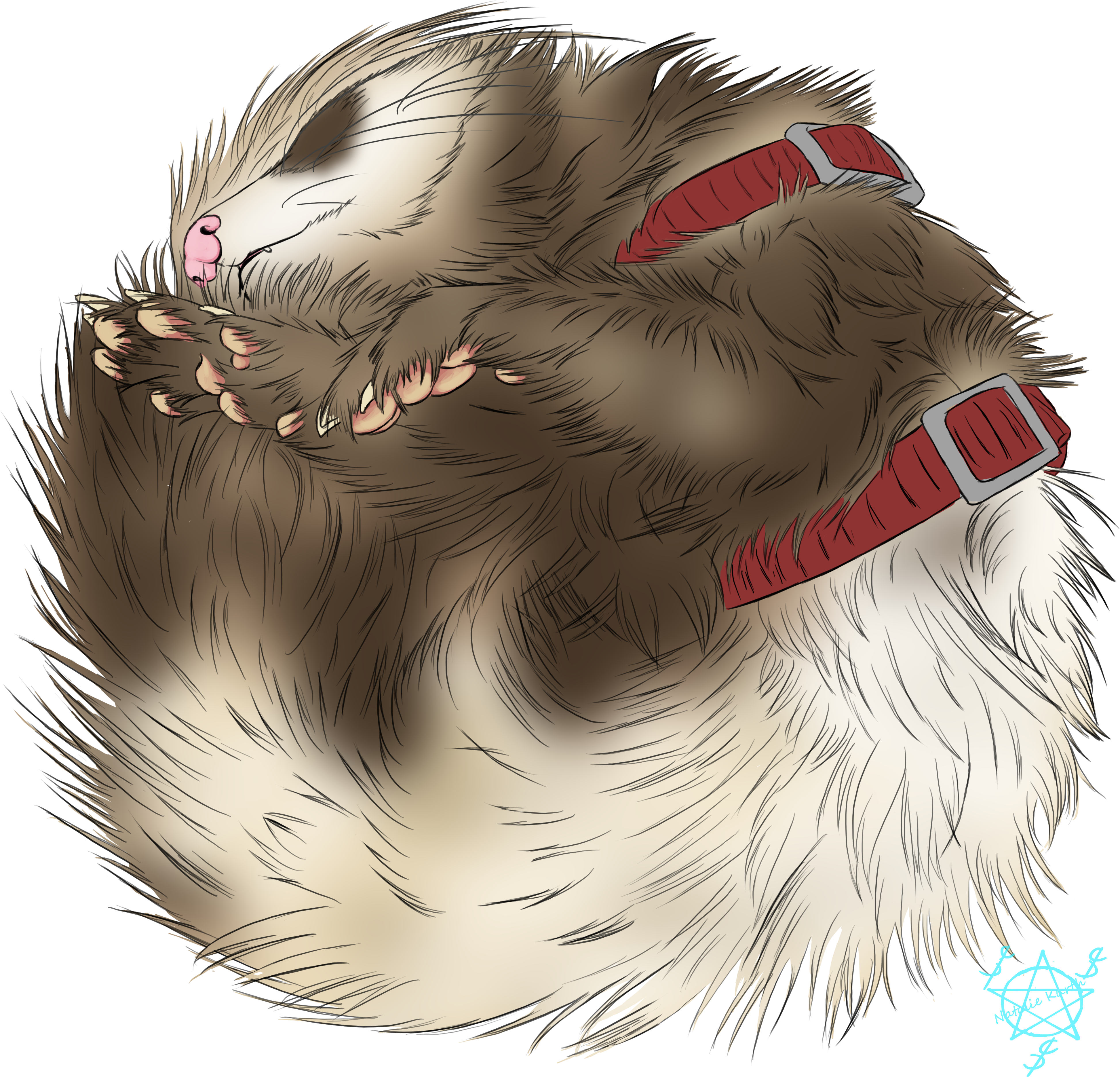 Drew One Of My Favorites Photos Of My Ferret, Discord - Hamster (894x894), Png Download