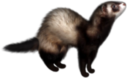 Picsart Photo Studio (480x480), Png Download