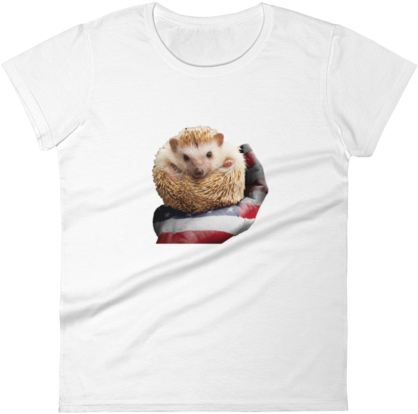 4th Of July Special Hedgehog T-shirt - T-shirt (480x480), Png Download