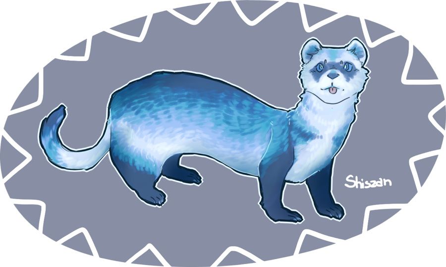 Blue Ferret - Weasel (900x539), Png Download
