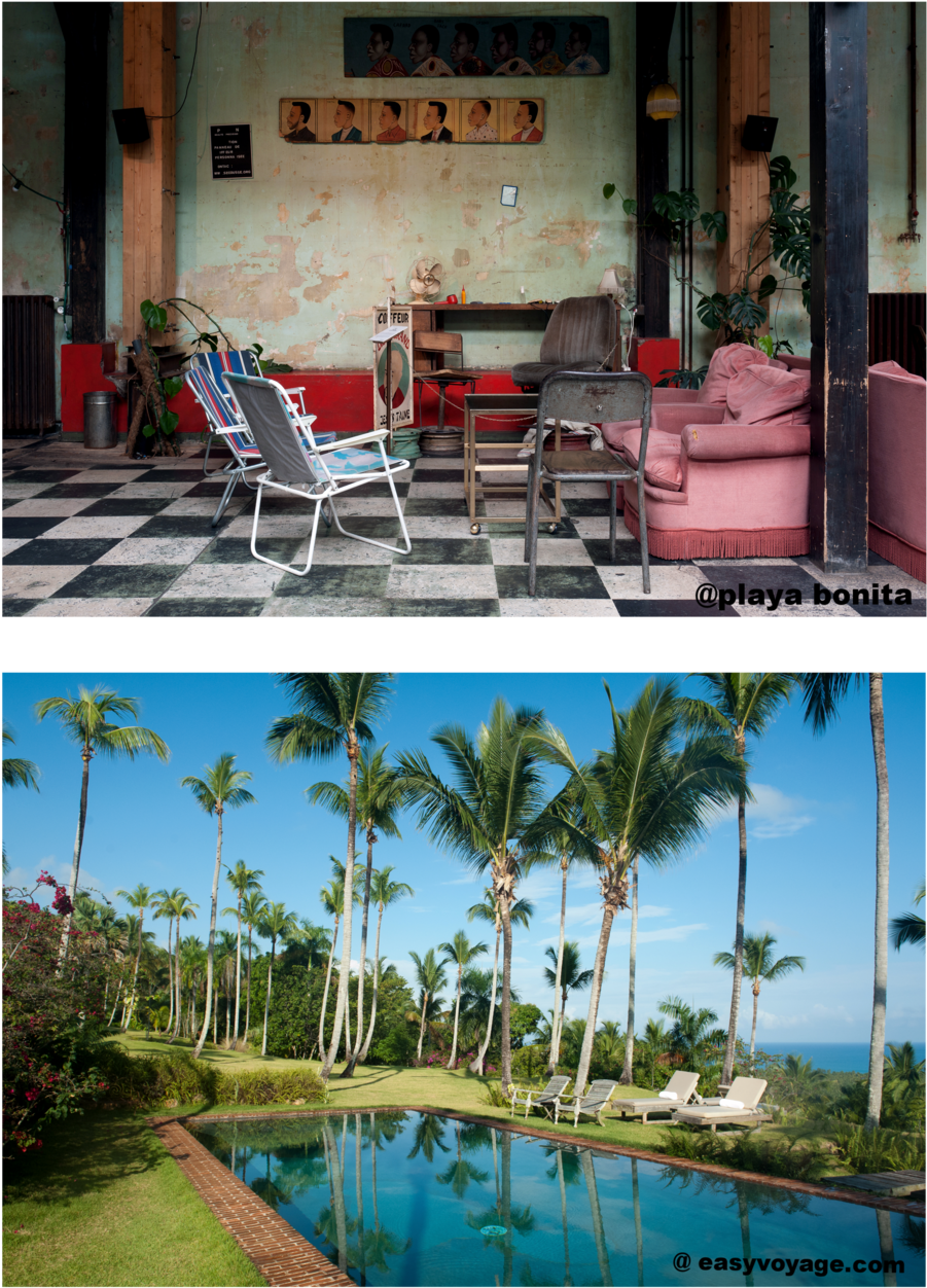 Feret2 (1000x1364), Png Download