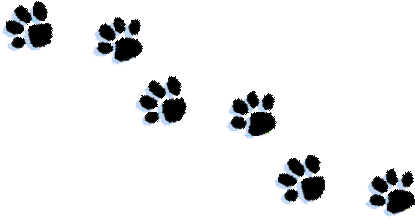 Tattoopins Comcopyright 2011 Petbath America - Paw (437x300), Png Download