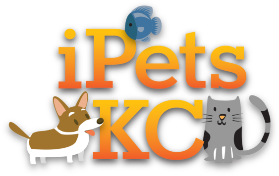 Ipetskc - Kansas City (600x399), Png Download