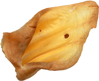 Cow Ears - Cow Ear Png (500x391), Png Download