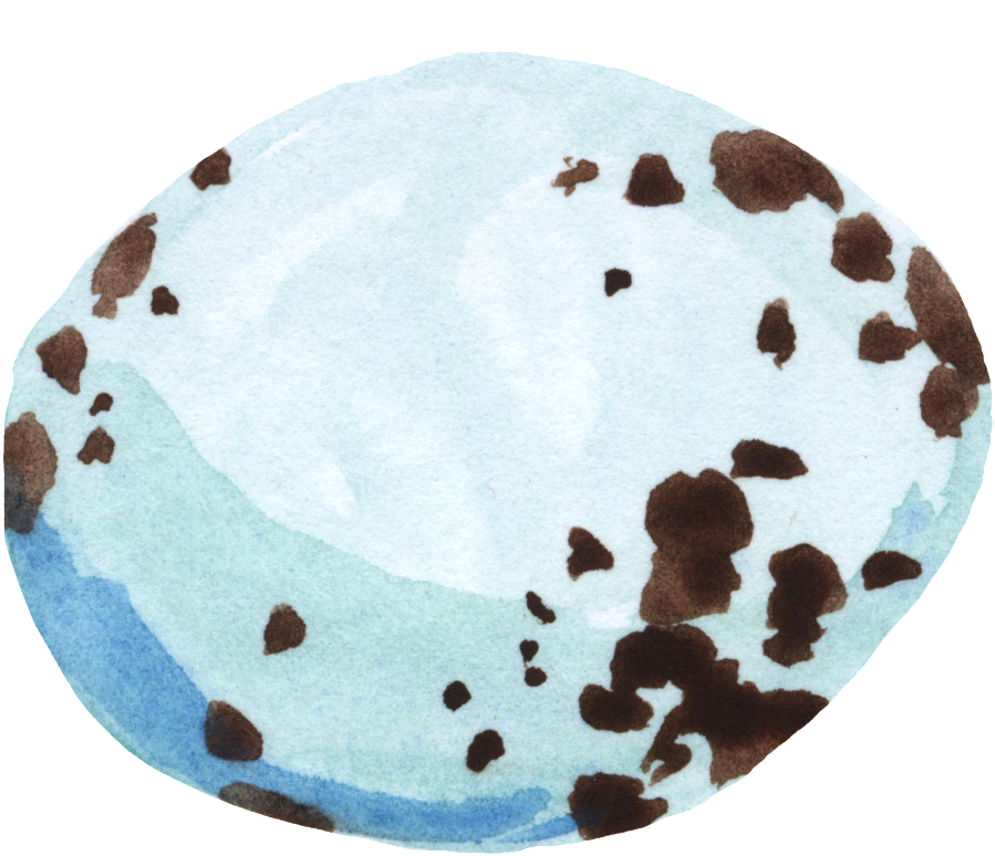 This Graphics Is Easter Gorgeous Egg Transparent Decorative - Blue (1024x859), Png Download