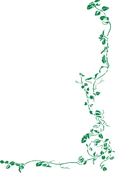 Green Vine Border Clip Art At Clker Com Vector Clip - Vinyl Wall Art Decal Sticker #275 Flower Floral Vines (396x596), Png Download