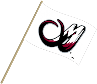 Colorado Mammoth 12" X 18" Waving Flag - Colorado Mammoth (400x400), Png Download