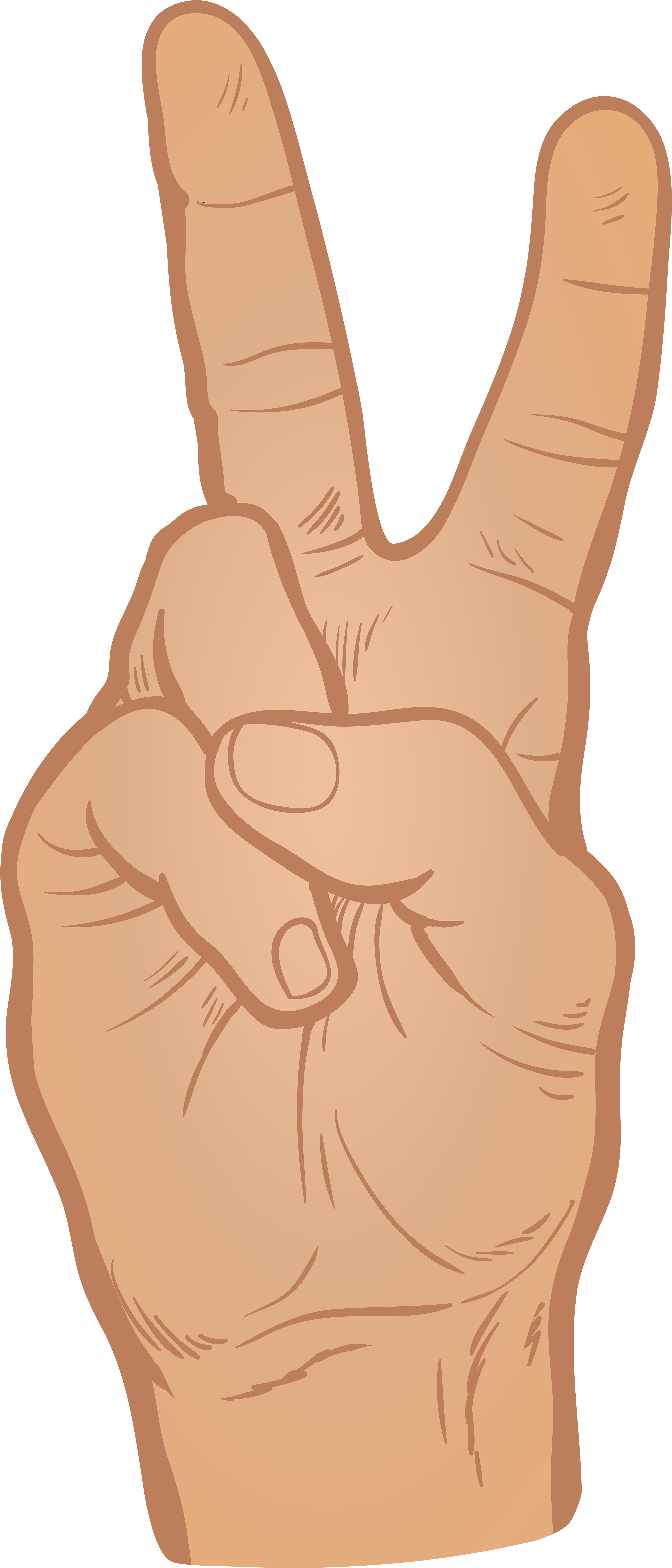 Hand Victory Sign Png (3427x8000), Png Download