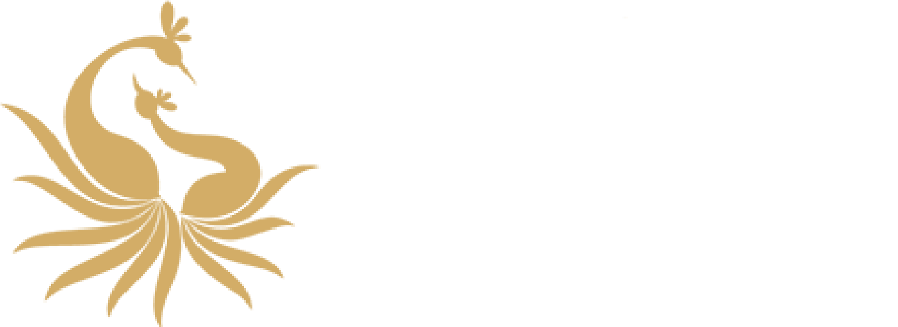 Soma Vine Villege - Soma Wine Logo (2400x900), Png Download