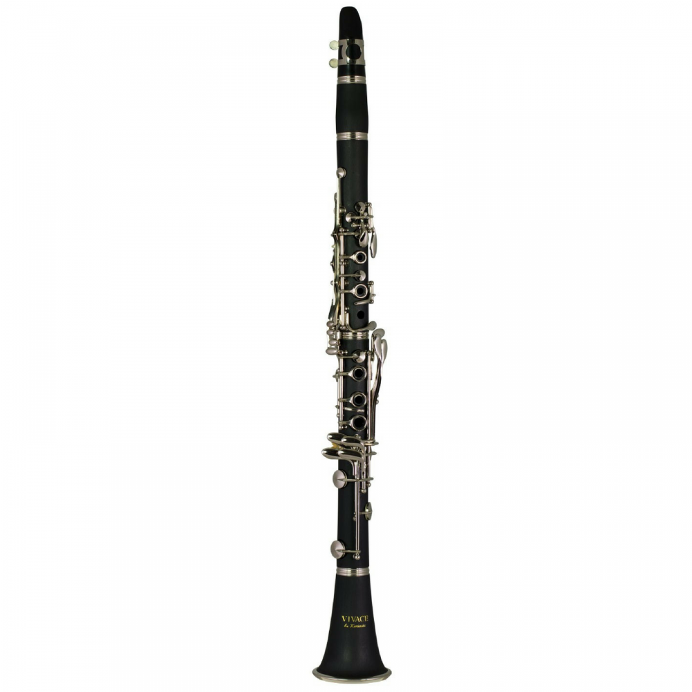 Vivace Clarinet - Clarinet Family (1000x1330), Png Download