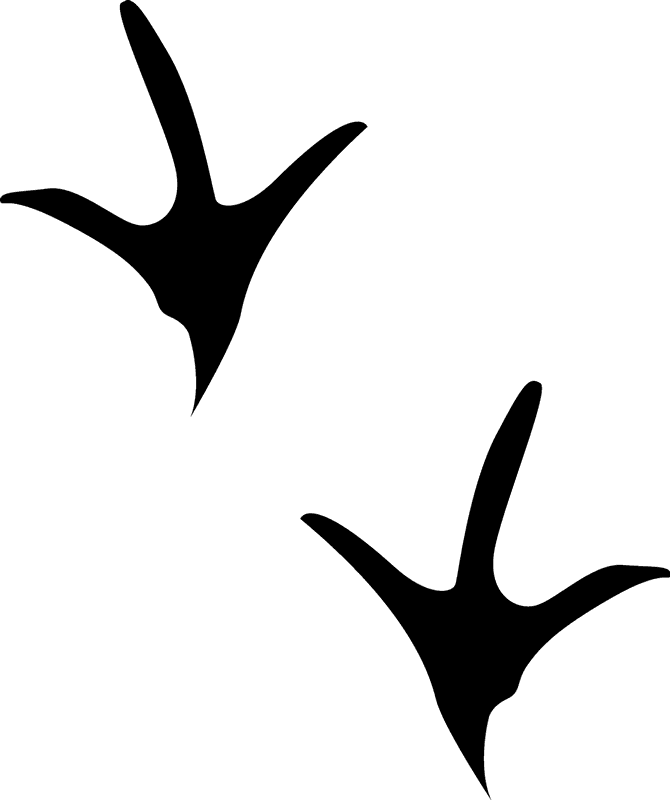 Chicken Tracks Rubber Stamp - Chicken Tracks Clip Art (670x800), Png Download