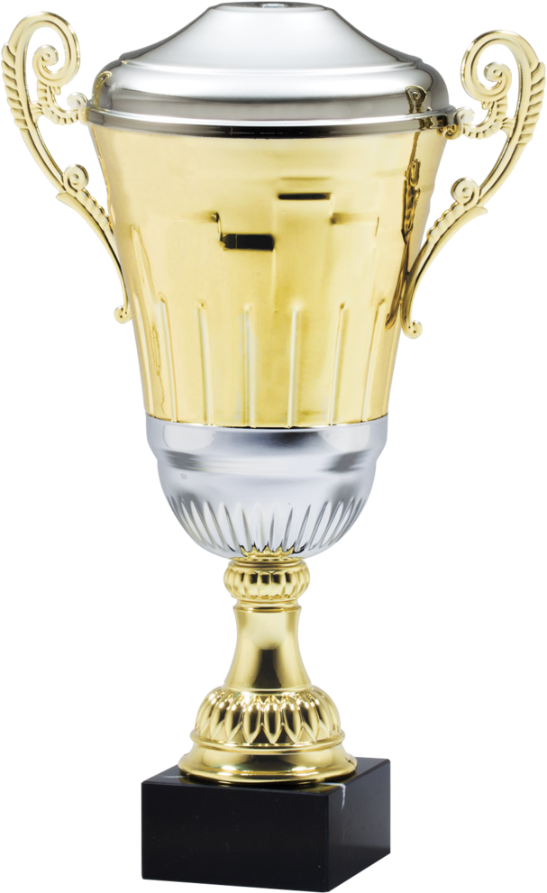 Gold Trophy - Jpeg (626x1024), Png Download