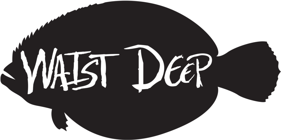 Flounder - Bony-fish (1024x1024), Png Download