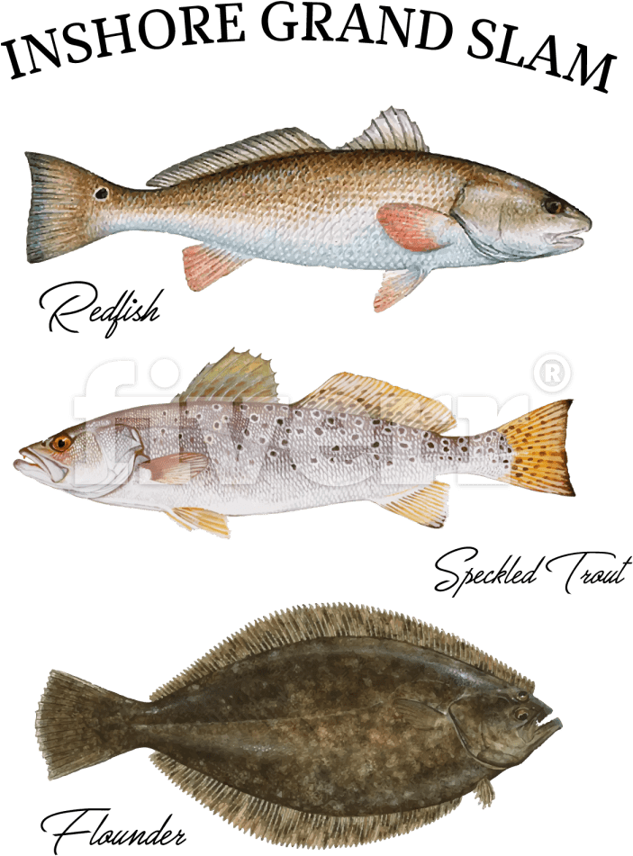 Speckled Trout Pillow Case (1200x1200), Png Download