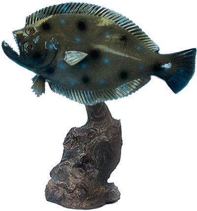 Tt127png1 - Fish (800x644), Png Download