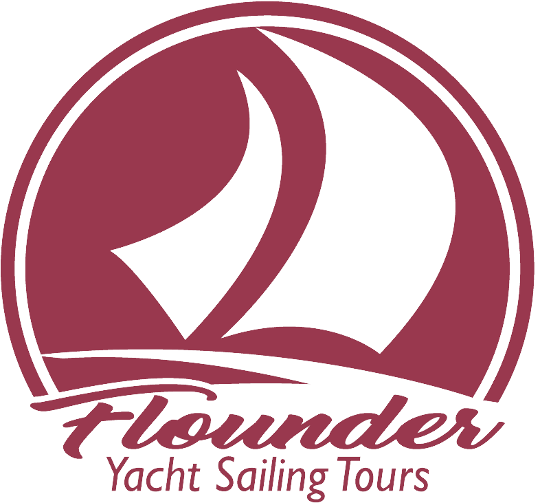 Circle (786x731), Png Download