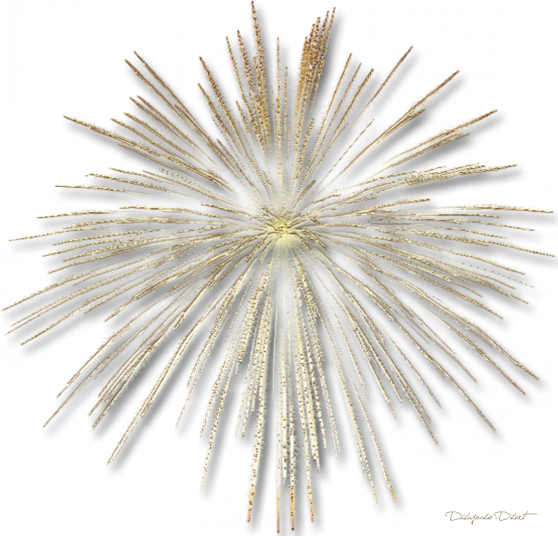 Tu Y Yo - Gold Fireworks Transparent Background (800x768), Png Download