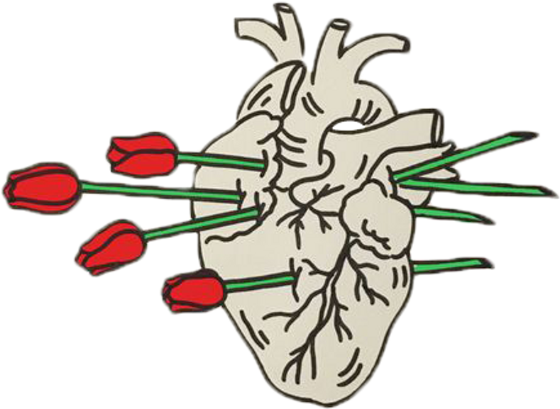 Roses Heartbreak Relationship Aesthetic Red Tumblr - Heart Broken (1024x1024), Png Download