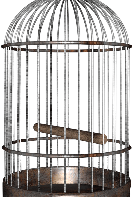 The Bird A Redemption - Bird In A Cage Png (1080x675), Png Download