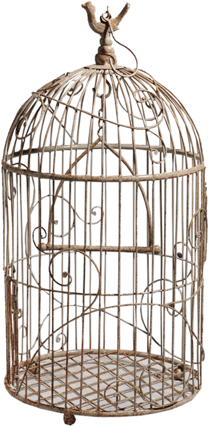 Free Png White Bird Cage Png Images Transparent - Птичья Клетка Png (480x888), Png Download