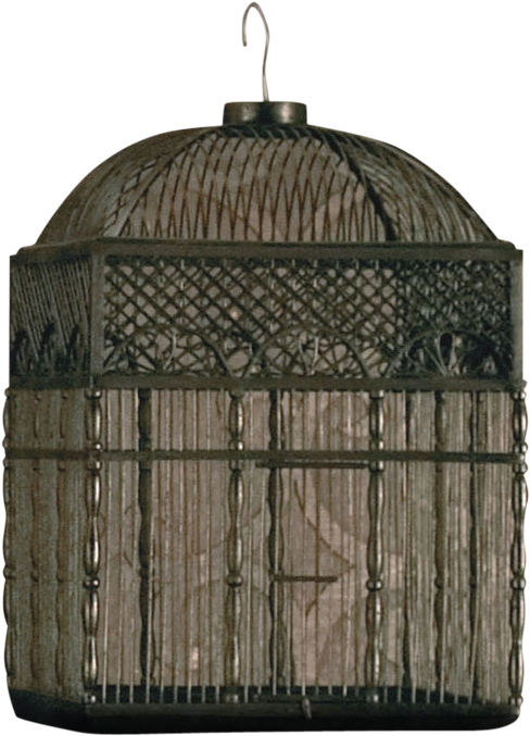 Cage (800x800), Png Download