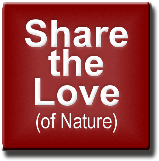 Share The Love Of Nature Button - Quit The Shit Get Fit (360x360), Png Download