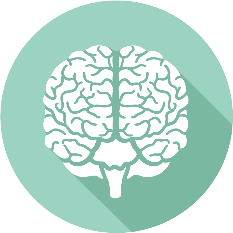 Brain-icon - تصوير مقطعي بالإصدار البوزيتروني (937x935), Png Download