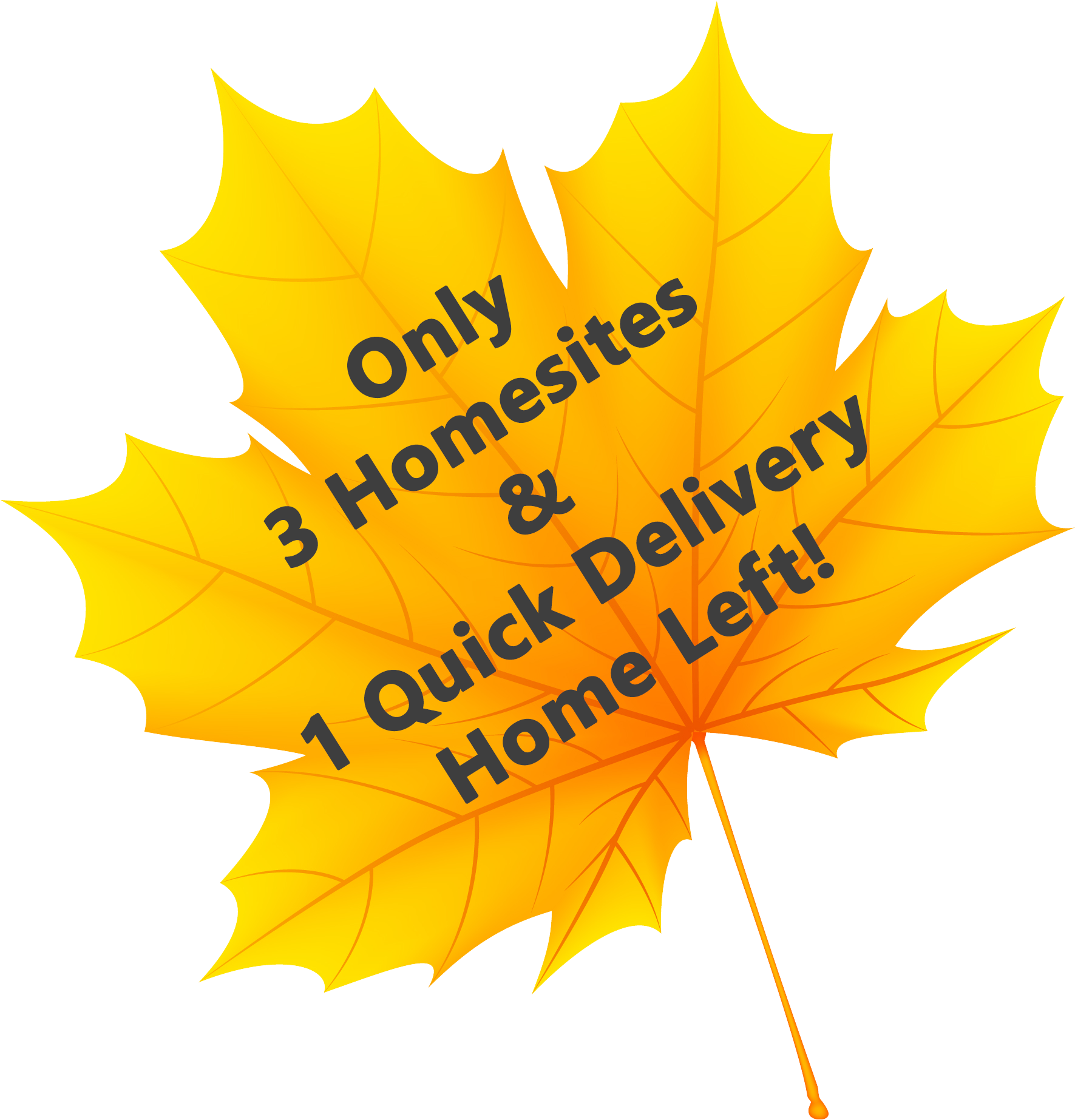 Fab Fall Maple Leaf - Everyday Low Price (1991x1982), Png Download