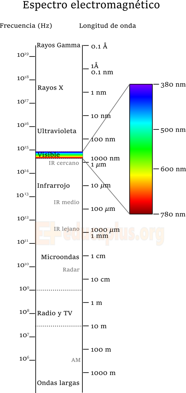 Espectro Electromagnético - Luz Como Onda (612x1293), Png Download