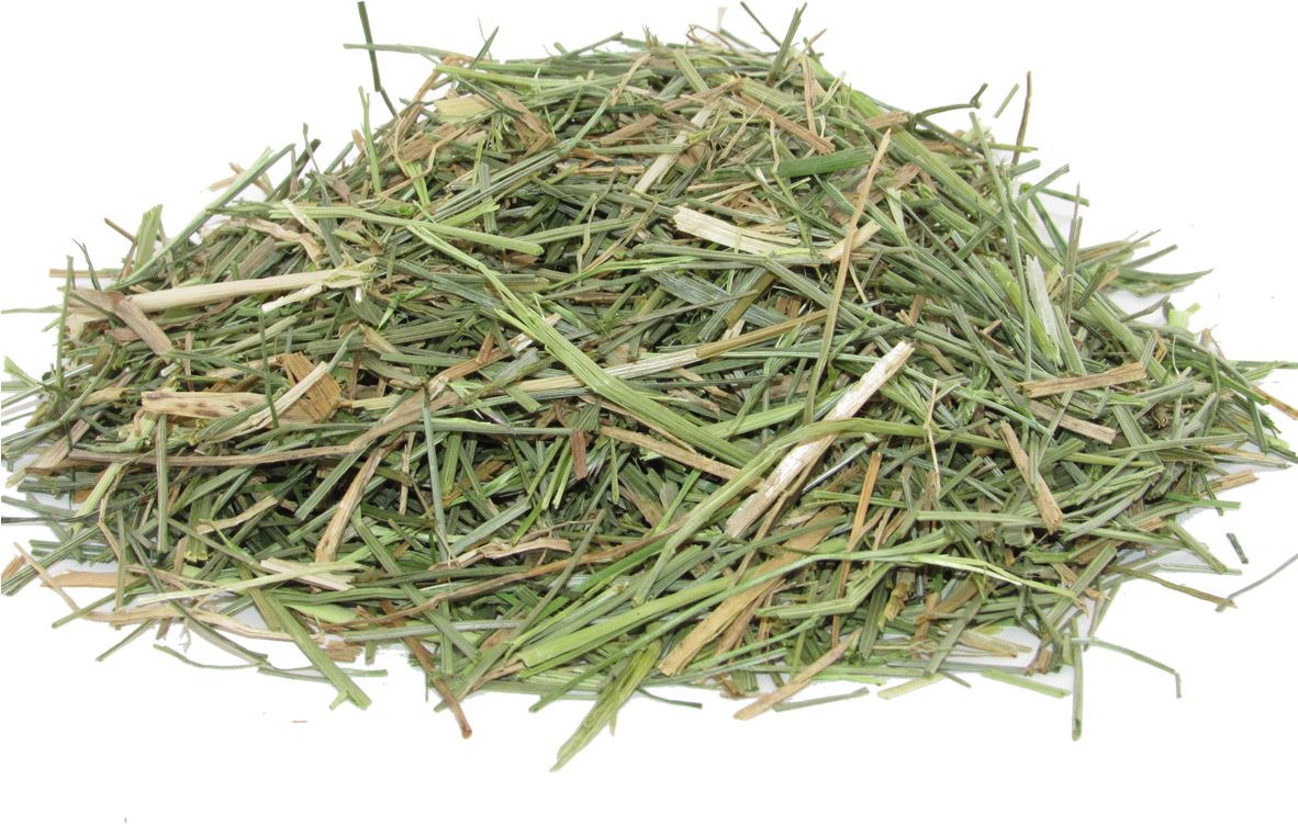Grass - Artificial Turf (1181x986), Png Download