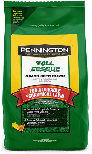 Tall Fescue - Grass Seed - Pennington Kentucky Bluegrass Grass (green) Seed, 3 (600x600), Png Download