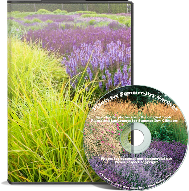 Cd Summer Dry - Plants And Landscapes For Summer-dry Climates (720x720), Png Download