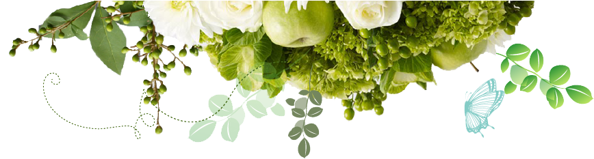 Mont Albert Florist - Garden Roses (1024x275), Png Download