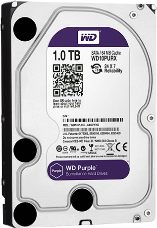 Purple Surveillance Hard Drive - Hdd Wd Purple 1tb (550x550), Png Download