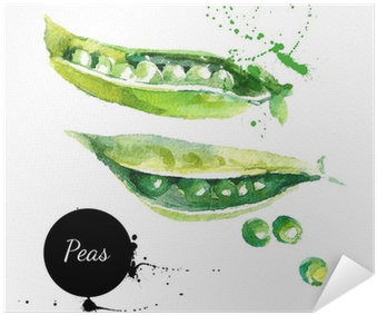 Hand Drawn Watercolor Painting On White Backgroundœ - Горох Акварелью (400x400), Png Download