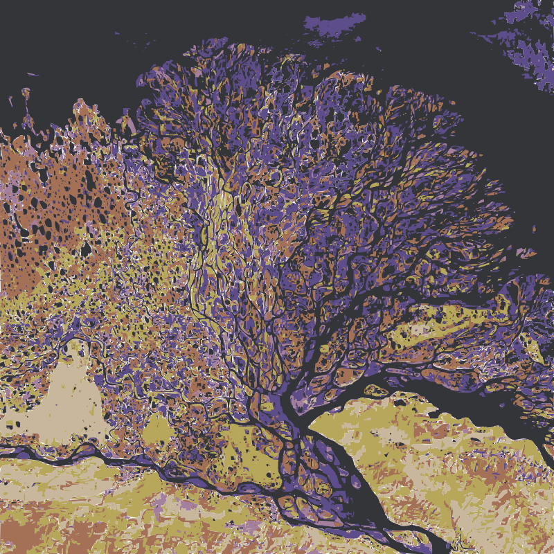Earth Art From Nasa 51-100 37 Pages - Lena Delta (800x800), Png Download