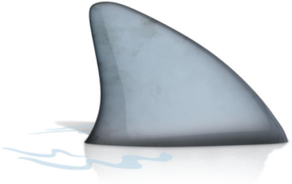 Shark (600x375), Png Download