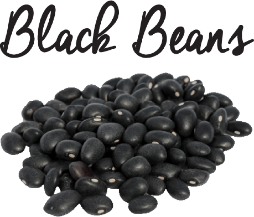 Free Png Black Beans Png Images Transparent - Velvet Bean In Urdu (850x726), Png Download