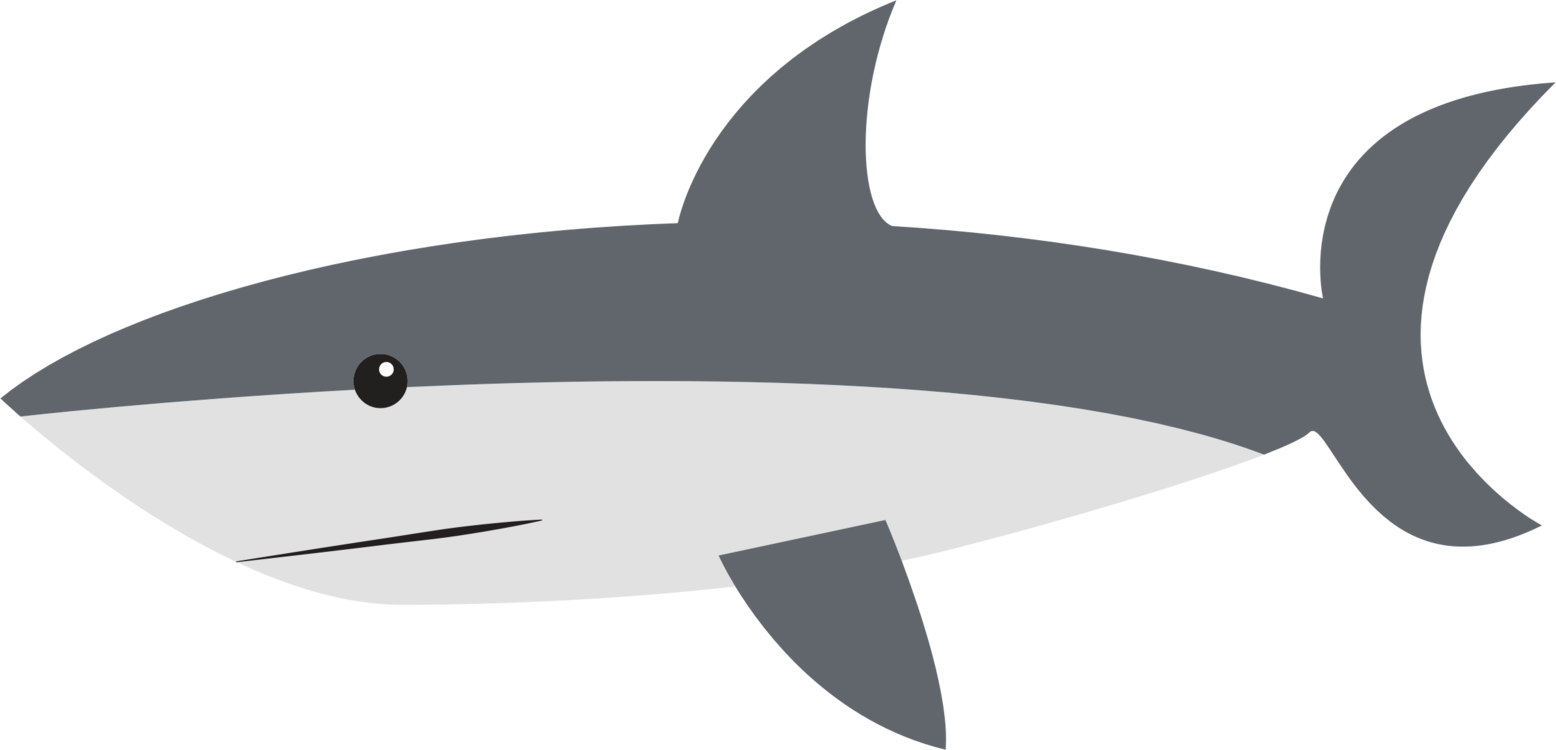 Download Great White Shark Cartoon Drawing Cartilaginous Fishes - Cartoon  Image Of Shark PNG Image with No Background 