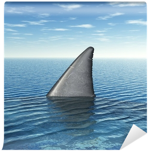 Shark Week: Everything You Need To Know (400x400), Png Download