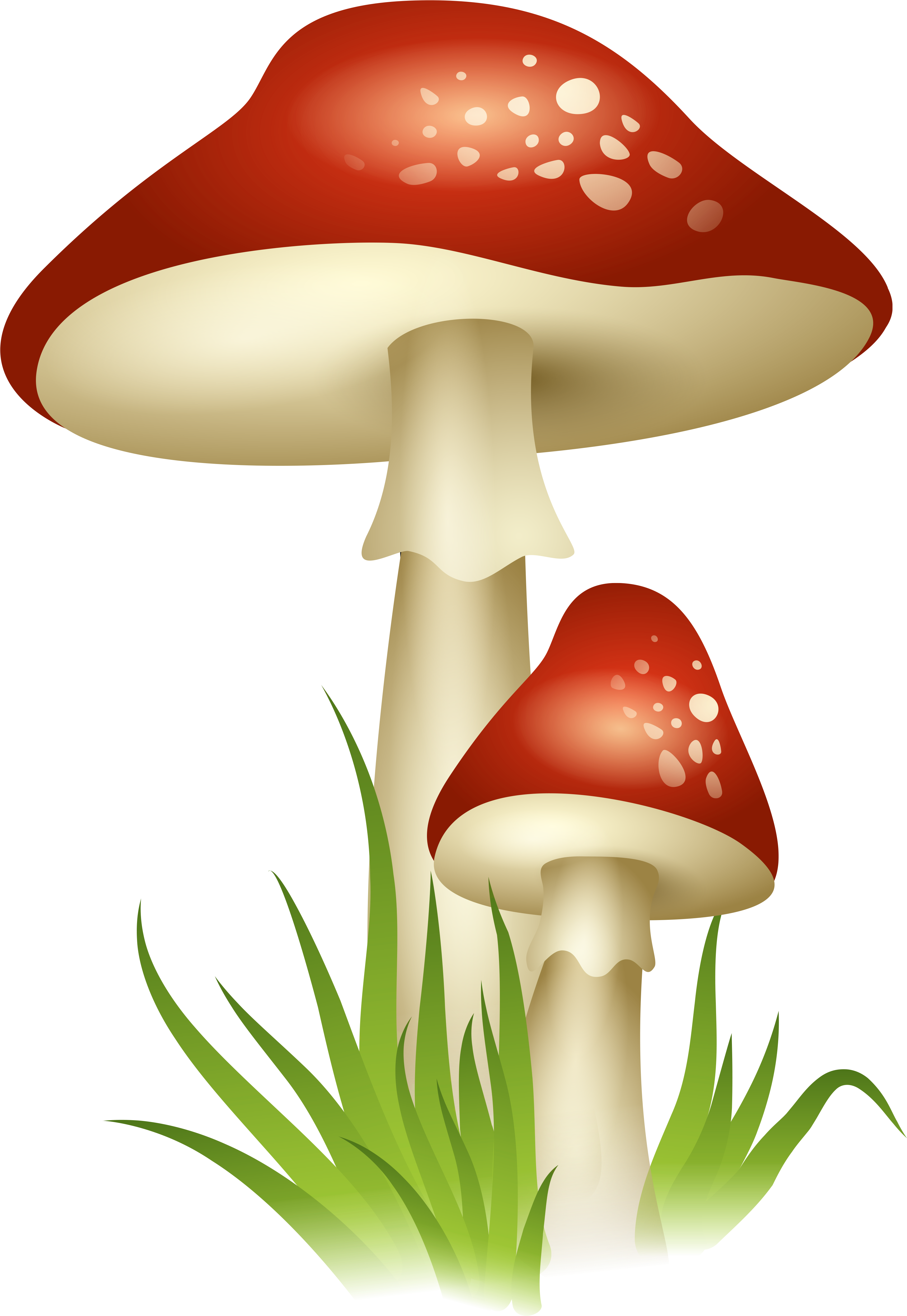 Mushrooms Drawing Enchanted - Mushroom Png (3599x5234), Png Download