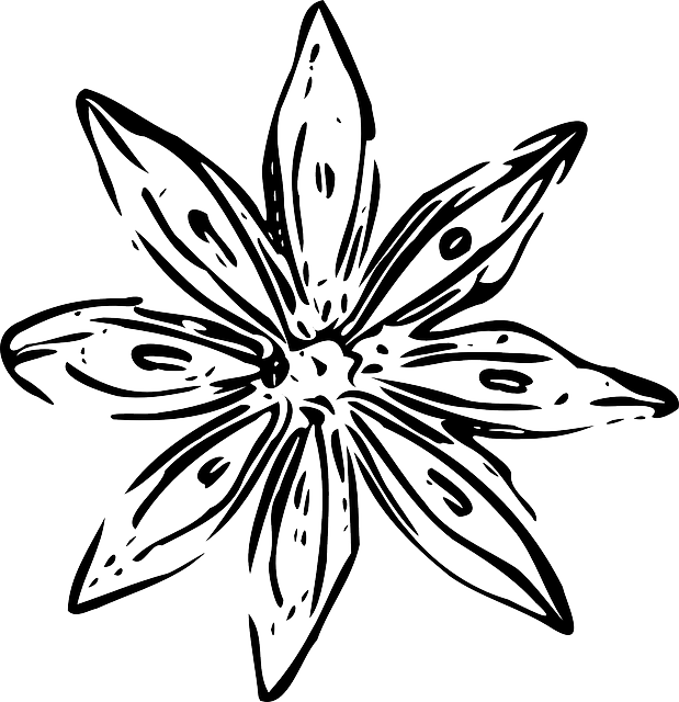 28 Collection Of White Flower Drawing Png - White Flower Outline Png (619x640), Png Download