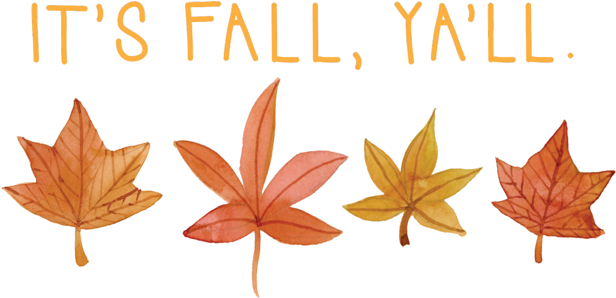 Related Wallpapers - Line Of Fall Leaves (1280x726), Png Download