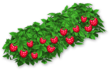 Raspberry Bush - Hay Day Berry Bush (363x363), Png Download
