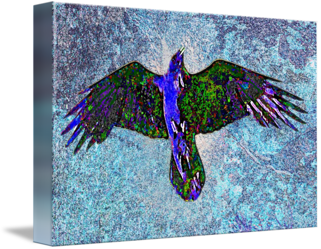Raven Paint By Paul Hood - Farbrabe Auf Blau Karte (650x504), Png Download