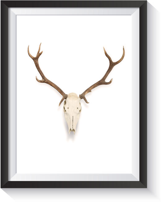 Antlers Watercolor Png Free Jpg Black And White Stock - Elk (800x800), Png Download