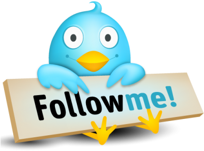 Twitter Bird Png - Twitter Following (400x400), Png Download