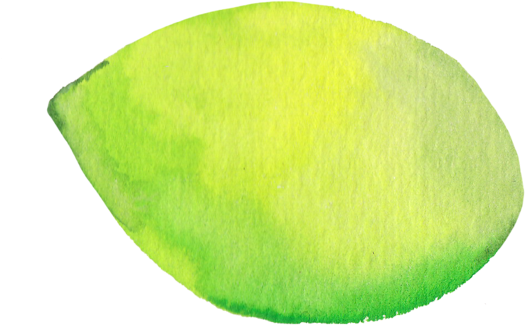 9 Frame - Fruit (800x496), Png Download