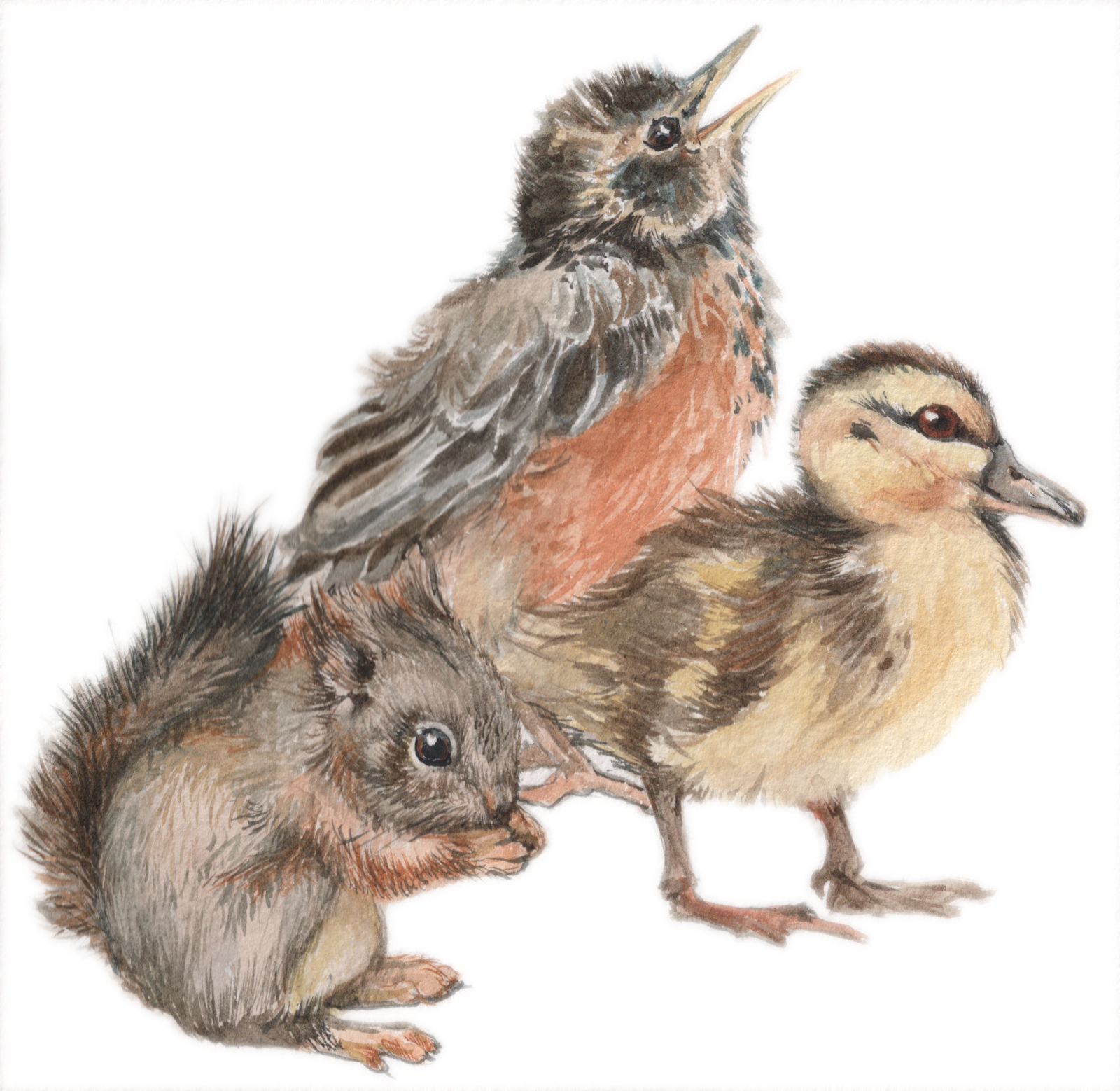 I Did Some Little Watercolors For The Invitation To - Lark (1600x1558), Png Download