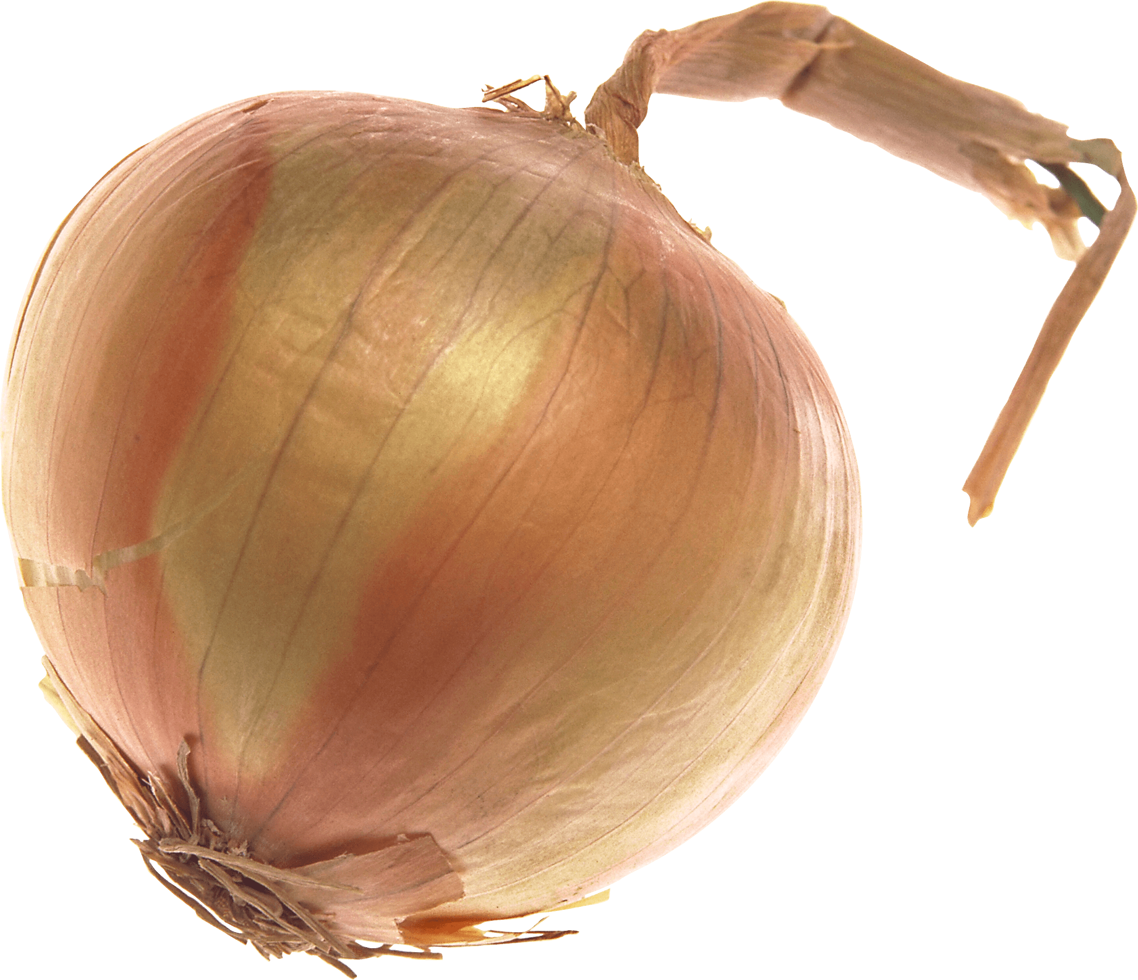 Onion Large - Onion Transparent Background (2287x1970), Png Download